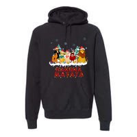 Christmas Lion King Hakuna Merry Christmas Premium Hoodie