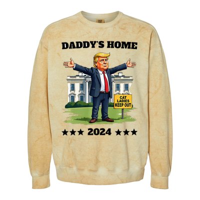 Cat Ladies Keep Out DaddyS Home Funny Trump President Colorblast Crewneck Sweatshirt