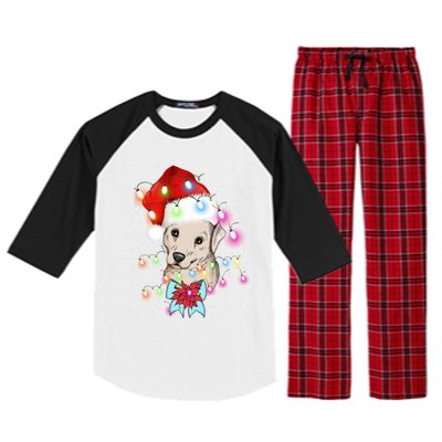 Christmas Lights Labrador Retriever Funny Xmas Cute Gift Raglan Sleeve Pajama Set