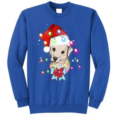 Christmas Lights Labrador Retriever Funny Xmas Cute Gift Sweatshirt