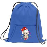 Christmas Lights Labrador Retriever Funny Xmas Cute Gift Sweatshirt Cinch Pack Bag