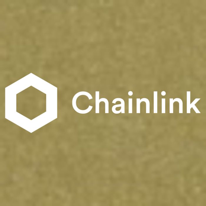 Chainlink LINK Logo, Chainlink Crypto Logo Blockchain DeFi Garment-Dyed Women's Muscle Tee