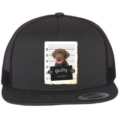Chocolate Lab Labrador Dog Mug Shot Bad Dog Flat Bill Trucker Hat