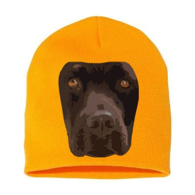 Chocolate Lab Lovers Dark Brown Dog Face Costume Short Acrylic Beanie