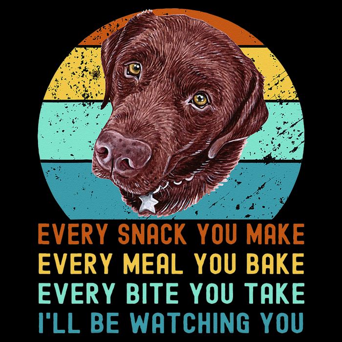 Chocolate Lab Labrador Retriever Dog Every Snack you Make Toddler T-Shirt