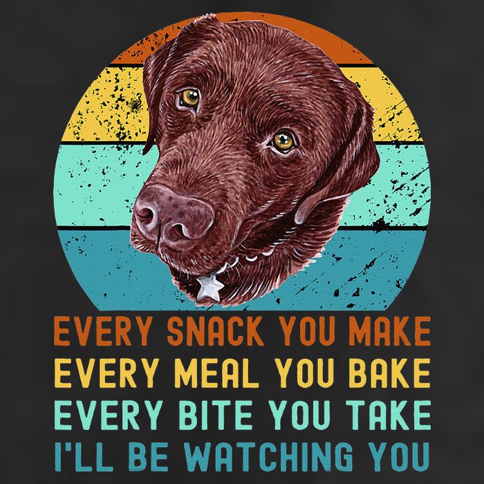 Chocolate Lab Labrador Retriever Dog Every Snack you Make Microfiber Hand Towel
