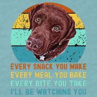 Chocolate Lab Labrador Retriever Dog Every Snack you Make Sueded Cloud Jersey T-Shirt