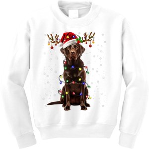 Chocolate Lab Labrador Christmas Tree Light Pajama Dog Xmas Kids Sweatshirt