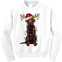 Chocolate Lab Labrador Christmas Tree Light Pajama Dog Xmas Kids Sweatshirt