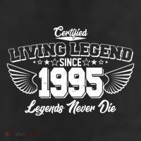 Certified Living Legend Since 1995 Legends Never Die 30th Birthday Wings 7 Panel Mesh Trucker Snapback Hat