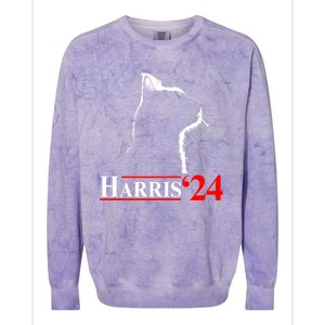 Cat Lady Ladies For Kamala Harris 2024 Colorblast Crewneck Sweatshirt