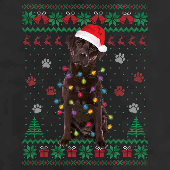 Chocolate Lab Labrador Christmas Lights Dog Ugly Sweater Adult Drive Performance Visor