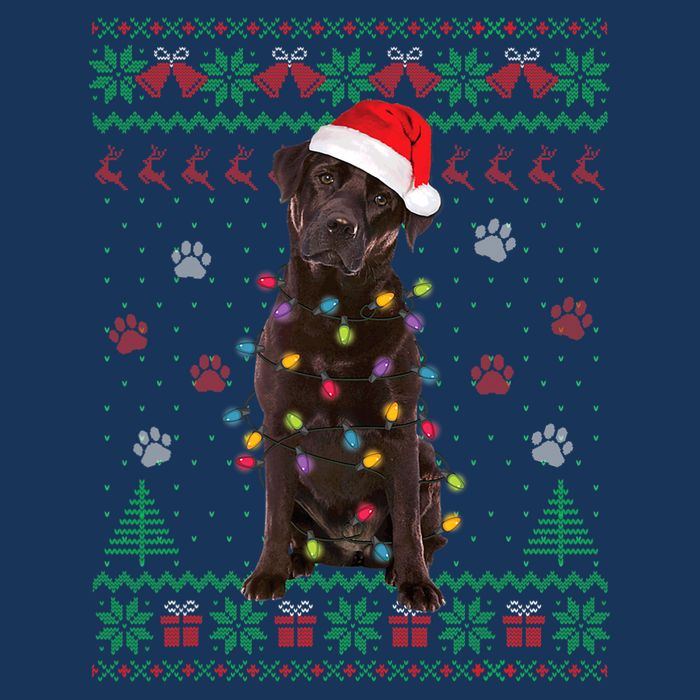 Chocolate Lab Labrador Christmas Lights Dog Ugly Sweater Tall T-Shirt