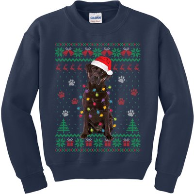 Chocolate Lab Labrador Christmas Lights Dog Ugly Sweater Kids Sweatshirt