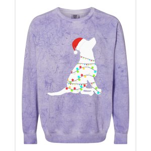 Christmas Lights Labrador Retriever Dog Lover Gift Colorblast Crewneck Sweatshirt