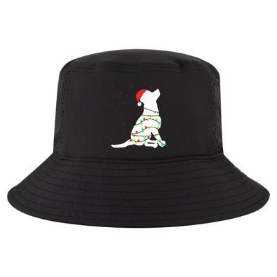 Christmas Lights Labrador Retriever Dog Lover Gift Cool Comfort Performance Bucket Hat
