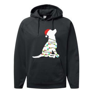 Christmas Lights Labrador Retriever Dog Lover Gift Performance Fleece Hoodie