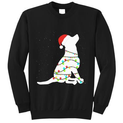 Christmas Lights Labrador Retriever Dog Lover Gift Sweatshirt