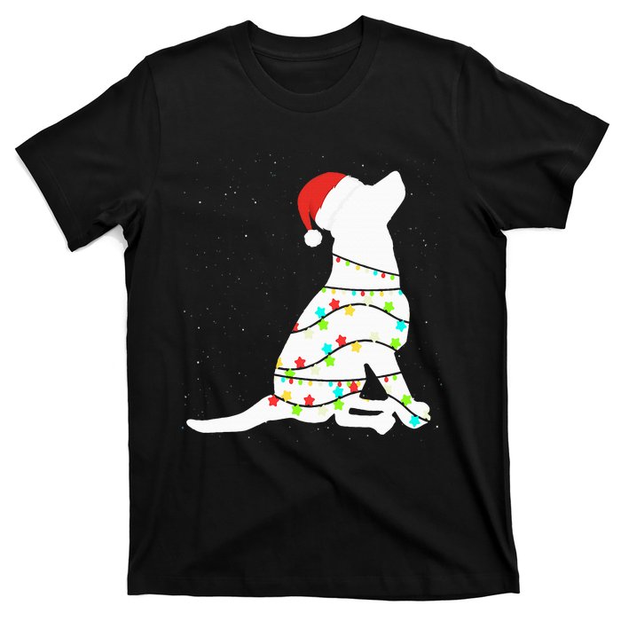 Christmas Lights Labrador Retriever Dog Lover Gift T-Shirt