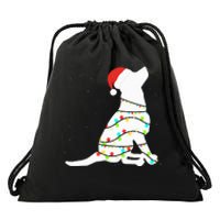 Christmas Lights Labrador Retriever Dog Lover Gift Drawstring Bag