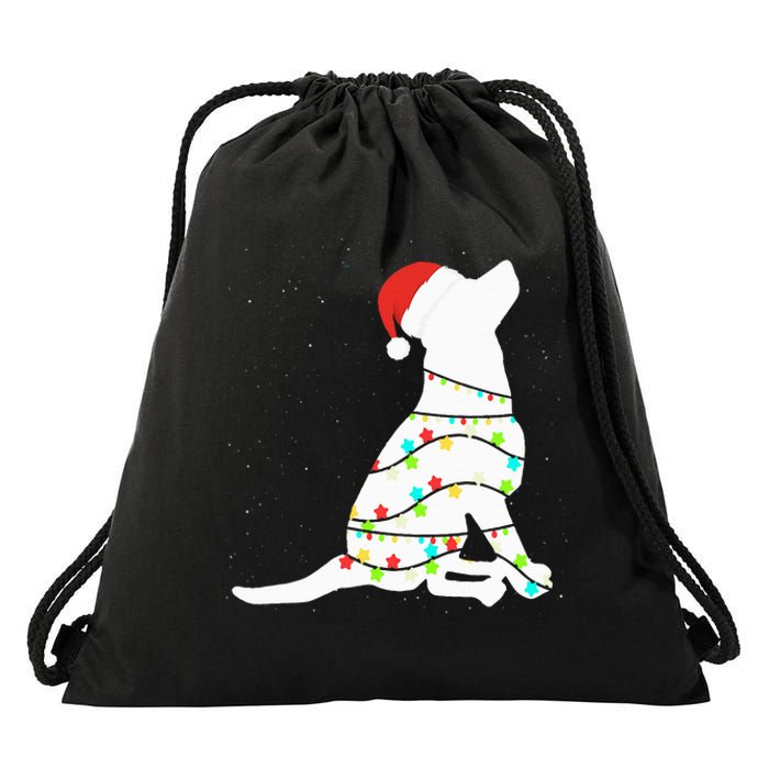 Christmas Lights Labrador Retriever Dog Lover Gift Drawstring Bag