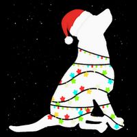 Christmas Lights Labrador Retriever Dog Lover Gift 16 in Basic Backpack