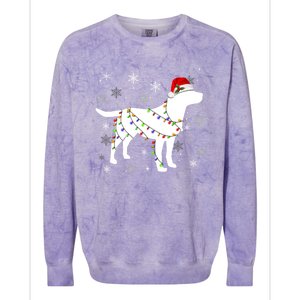 Christmas Lights Labrador Retriever Dog Lover Gift Colorblast Crewneck Sweatshirt