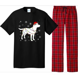 Christmas Lights Labrador Retriever Dog Lover Gift Pajama Set