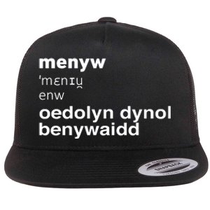 Cathy Larkman Menyw Definition Oedolyn Dynol Benywaidd Flat Bill Trucker Hat