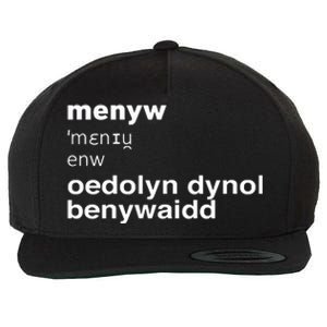 Cathy Larkman Menyw Definition Oedolyn Dynol Benywaidd Wool Snapback Cap