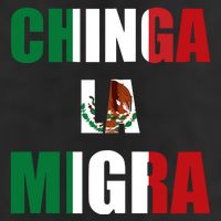 Chinga La Migra Pro Immigration 11oz C Handle Ceramic Mug