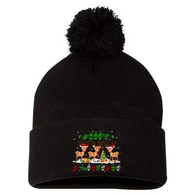 Christmas Lights Merry Christmas Reindeer Asl Sign Language Pom Pom 12in Knit Beanie