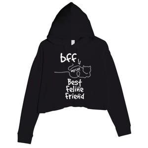 Cat Lover My Bff Best Feline Friend Is A Cat Kitty Cute Gift Crop Fleece Hoodie