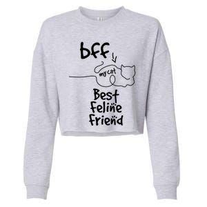 Cat Lover My Bff Best Feline Friend Is A Cat Kitty Cute Gift Cropped Pullover Crew