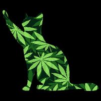 Cat Lover Marijuana Weed Smoker Funny Leaf Cannabis Impact Tech Backpack