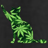 Cat Lover Marijuana Weed Smoker Funny Leaf Cannabis 11oz C Handle Ceramic Mug