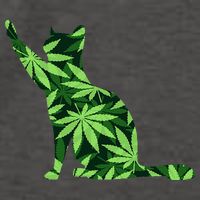 Cat Lover Marijuana Weed Smoker Funny Leaf Cannabis Vector Backpack