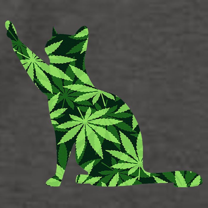 Cat Lover Marijuana Weed Smoker Funny Leaf Cannabis Vector Backpack