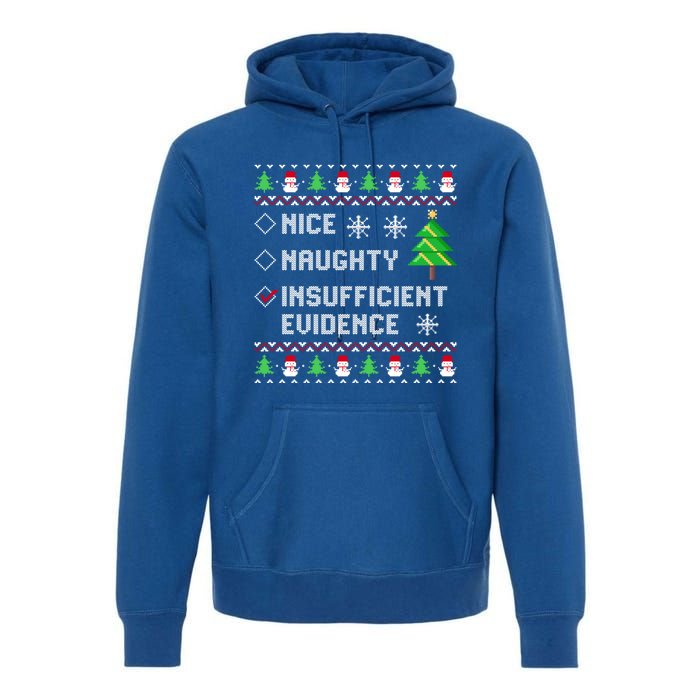 Christmas List Nice Naughty Insufficient Evidence Funny Cute Gift Premium Hoodie