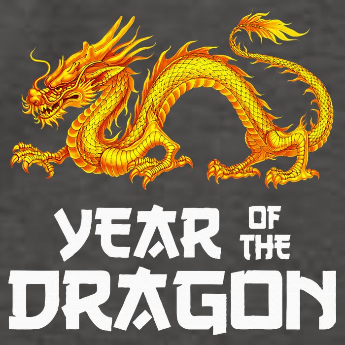 Chinese Lunar New Year 2024 Year Of The Dragon Vector Backpack