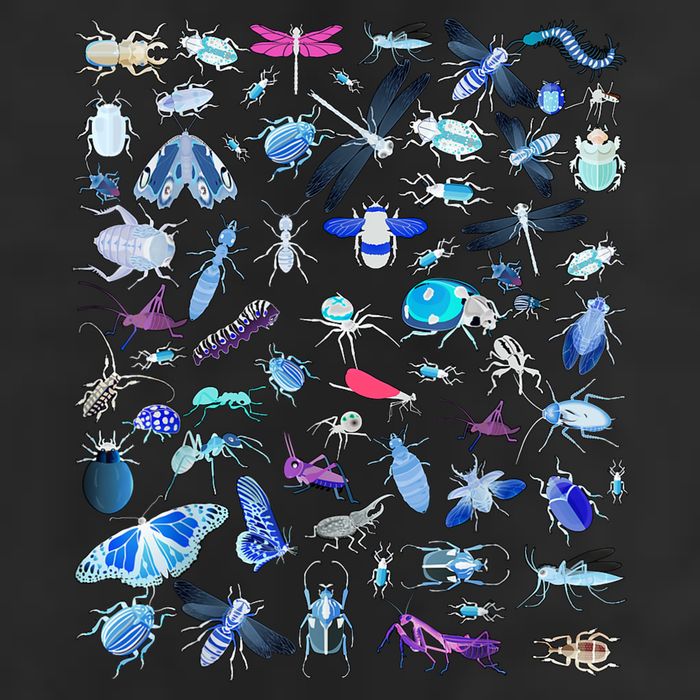 Cool Lots Of Bugs Cool Comfort Performance Bucket Hat