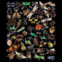 Cool Lots Of Bugs Funny Insect Lover Entomologist Mug