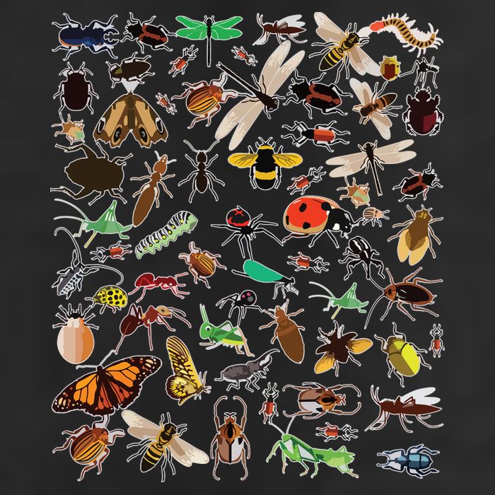 Cool Lots Of Bugs Funny Insect Lover Entomologist Tumbler