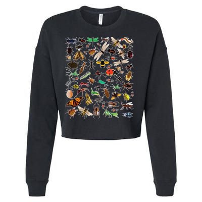 Cool Lots Of Bugs Funny Insect Lover Entomologist Cropped Pullover Crew