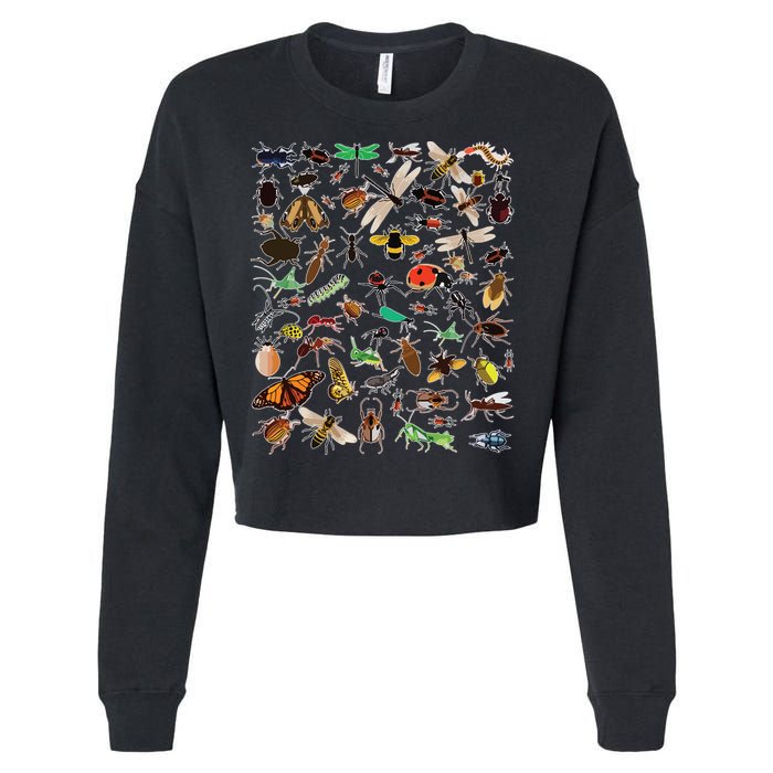 Cool Lots Of Bugs Funny Insect Lover Entomologist Cropped Pullover Crew
