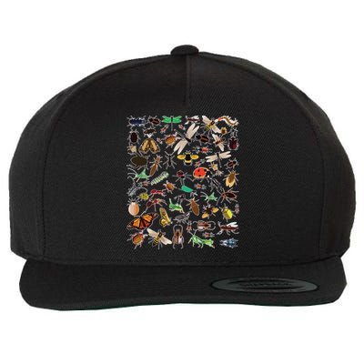 Cool Lots Of Bugs Funny Insect Lover Entomologist Wool Snapback Cap