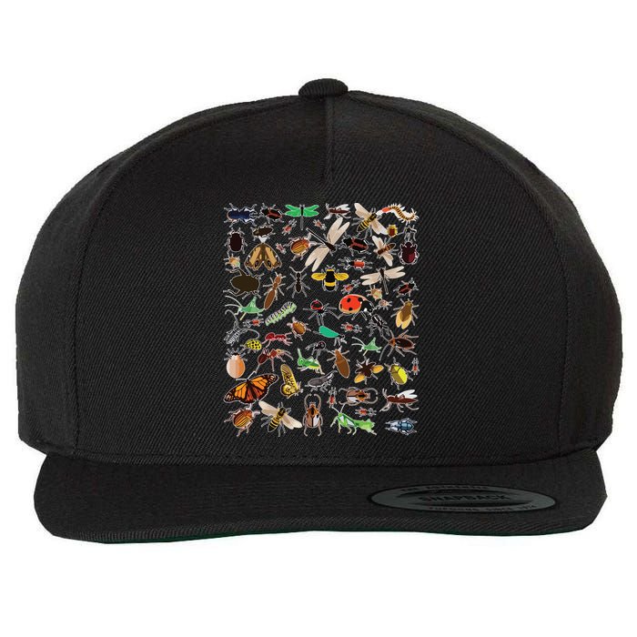 Cool Lots Of Bugs Funny Insect Lover Entomologist Wool Snapback Cap