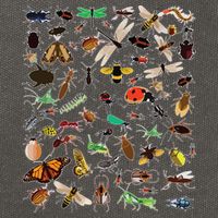 Cool Lots Of Bugs Funny Insect Lover Entomologist Cotton Canvas Backpack