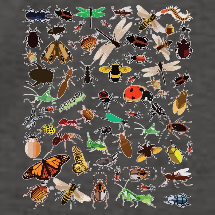 Cool Lots Of Bugs Funny Insect Lover Entomologist Vector Backpack