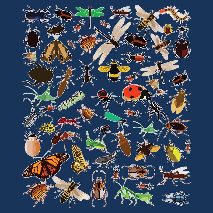 Cool Lots Of Bugs Funny Insect Lover Entomologist Button